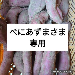 べにあずまさま専用　紅あずまABCミックス10kg(野菜)