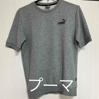 PUMA - プーマ　PUMA  スウェット　Tシャツ　グレー