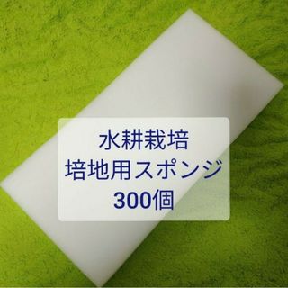 【送料無料】水耕栽培キット用 スポンジ培地 300個 ウレタン ユーイング(その他)