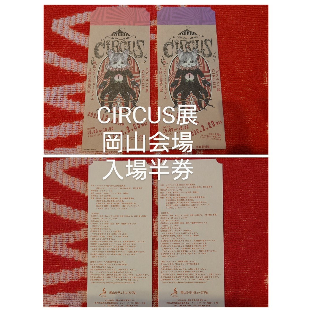 ヒグチユウコ　色々セット　CIRCUS展　ｸﾘｱﾌｧｲﾙ　フライヤー　ステッカー エンタメ/ホビーのおもちゃ/ぬいぐるみ(キャラクターグッズ)の商品写真