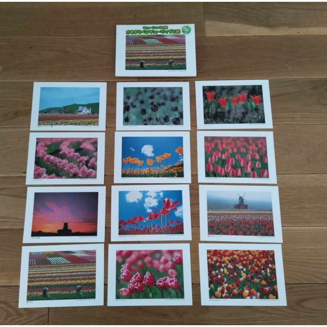 ポストカード　チューリップ エンタメ/ホビーのコレクション(印刷物)の商品写真