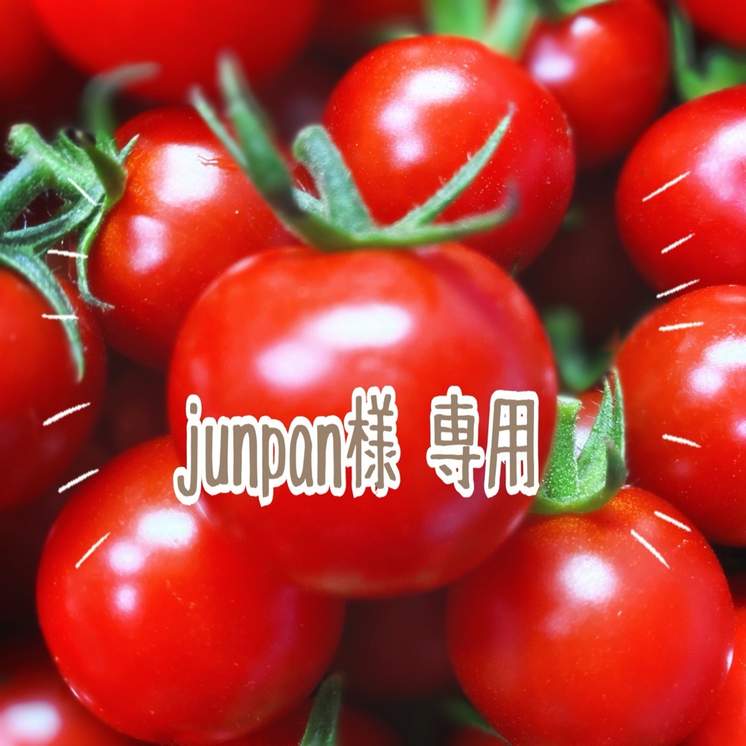 ミニトマト　千果６ｋｇ 食品/飲料/酒の食品(野菜)の商品写真