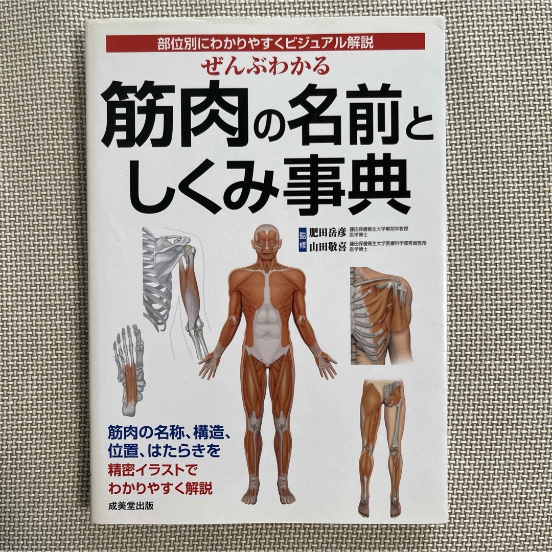 ぜんぶわかる筋肉の名前としくみ事典 エンタメ/ホビーの本(健康/医学)の商品写真