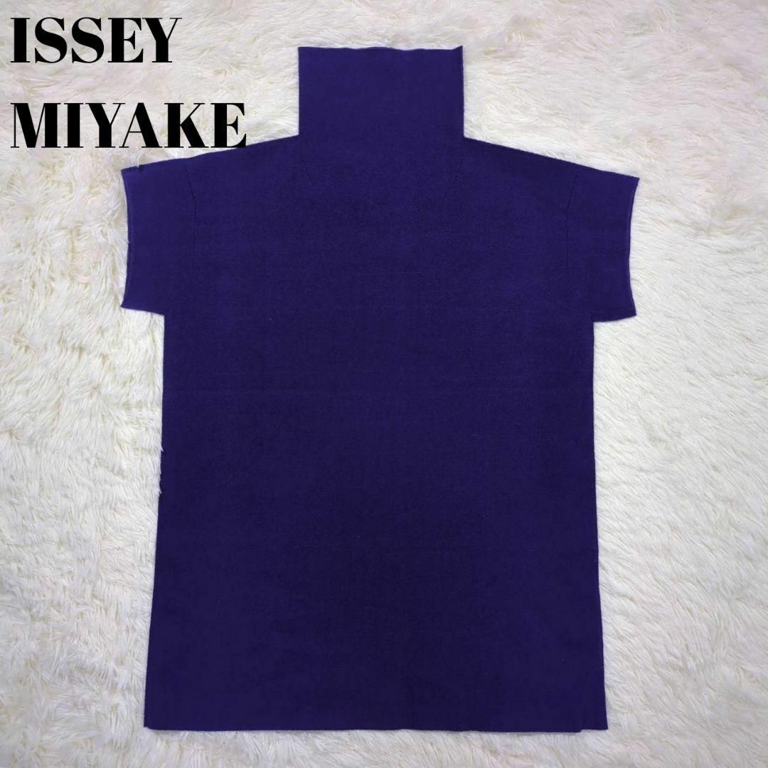 ISSEY MIYAKE(イッセイミヤケ)のISSEY MIYAKE A-POC INSIDE ハイネック 半袖 パープル レディースのトップス(Tシャツ(半袖/袖なし))の商品写真