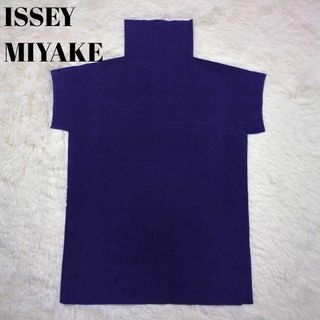 イッセイミヤケ(ISSEY MIYAKE)のISSEY MIYAKE A-POC INSIDE ハイネック 半袖 パープル(Tシャツ(半袖/袖なし))