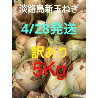 ★訳あり5Kg★淡路島新玉ねぎ　たまねぎ　玉葱(野菜)