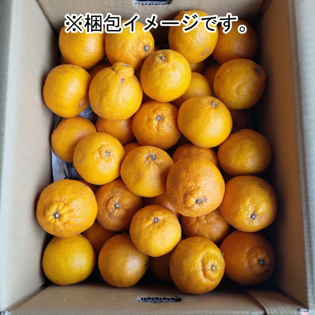 熊本県産 不知火(デコポン) 箱込み10kg S・Mサイズ 農薬低減 食品/飲料/酒の食品(フルーツ)の商品写真