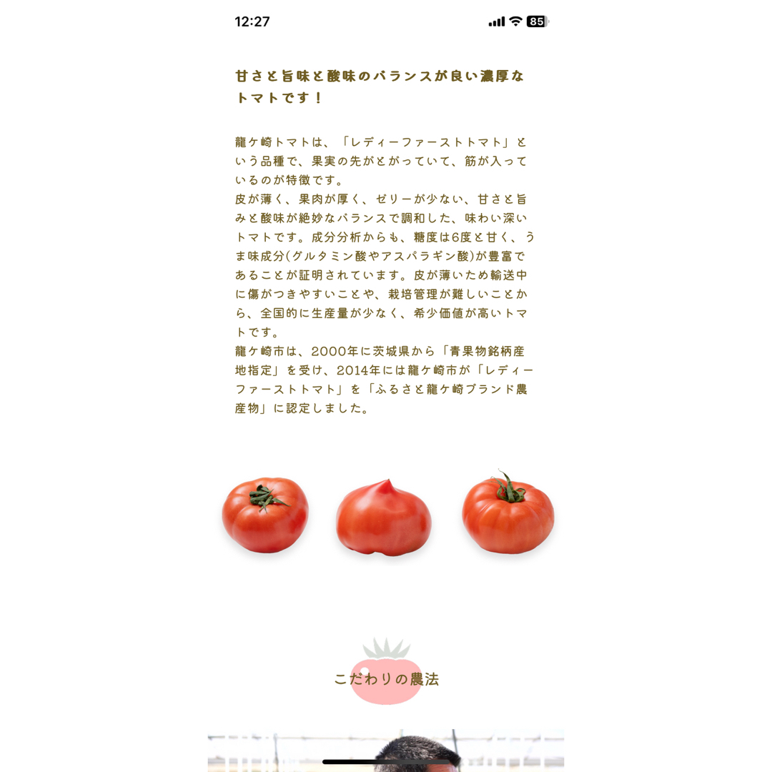 トマト🍅 食品/飲料/酒の食品(野菜)の商品写真