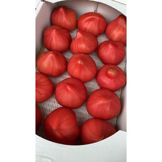 トマト🍅(野菜)