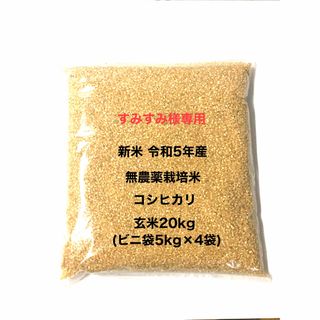 すみすみ様専用 無農薬コシヒカリ玄米20kg(5kg×4)令和5年産 ビニ袋梱包(米/穀物)