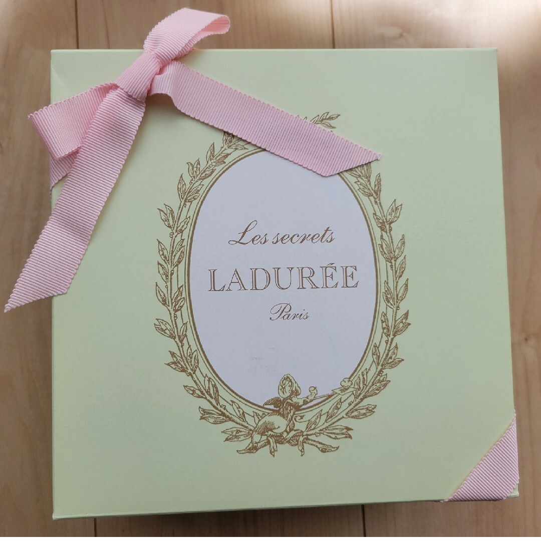 LADUREE(ラデュレ)の【未使用】LADUREE ポーチ付きブランケット レディースのファッション小物(その他)の商品写真