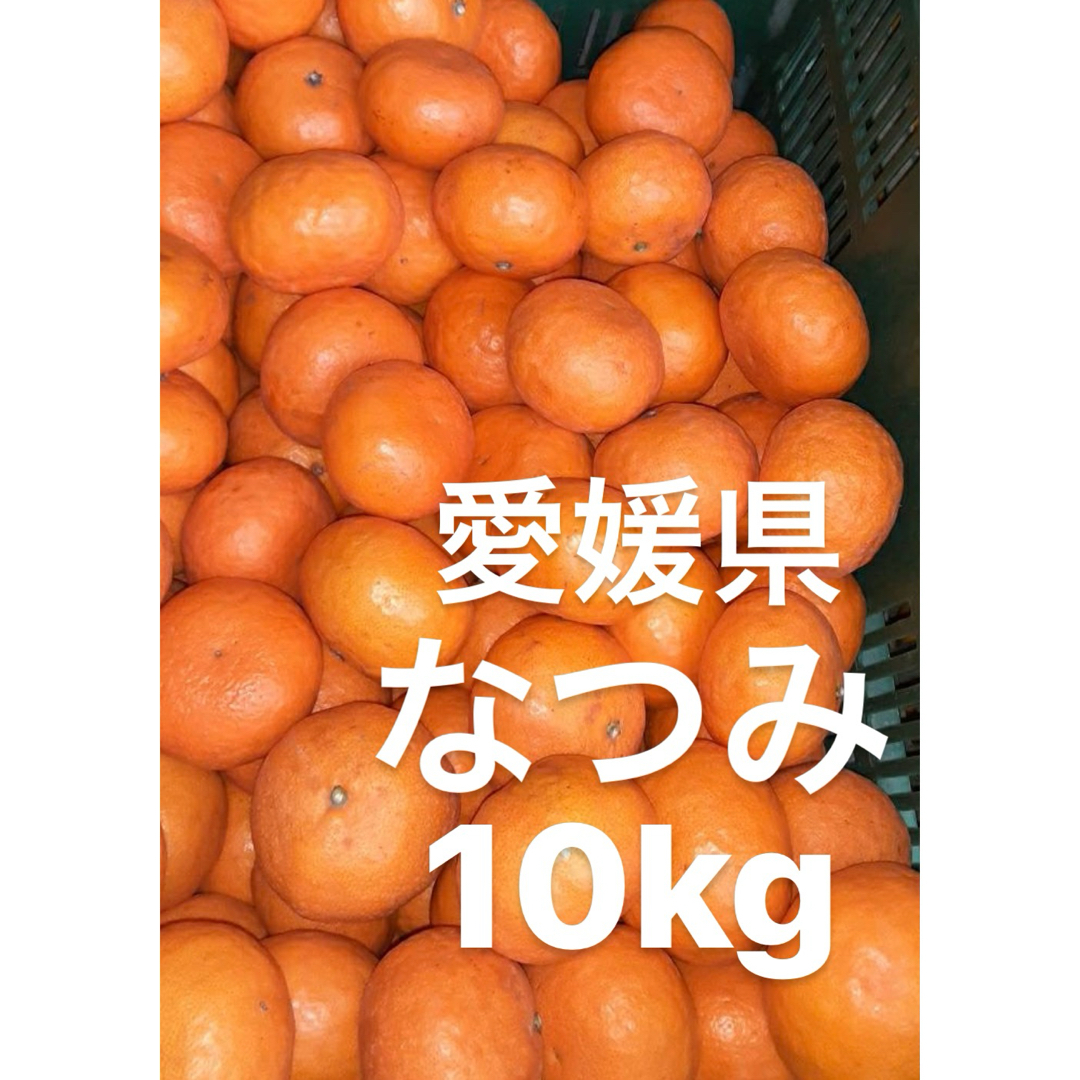 愛媛県産　なつみ　柑橘　　10kg 食品/飲料/酒の食品(フルーツ)の商品写真