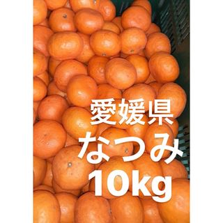 愛媛県産　なつみ　柑橘　　10kg(フルーツ)