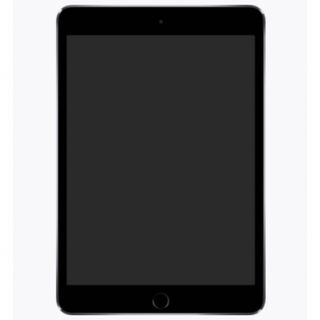 アップル(Apple)のiPad mini 初代 16GB 黒(タブレット)