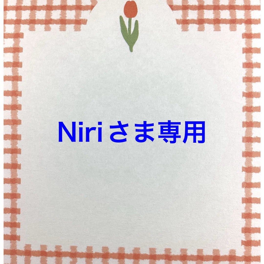 Niriさま専用 ハンドメイドのアクセサリー(ネックレス)の商品写真