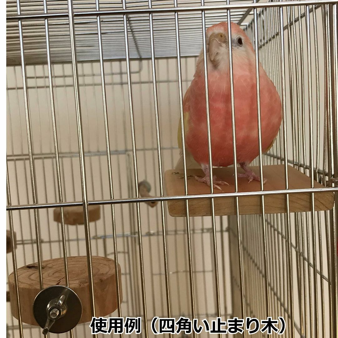 四角い止まり木　　インコ・小動物用ステップ その他のペット用品(鳥)の商品写真