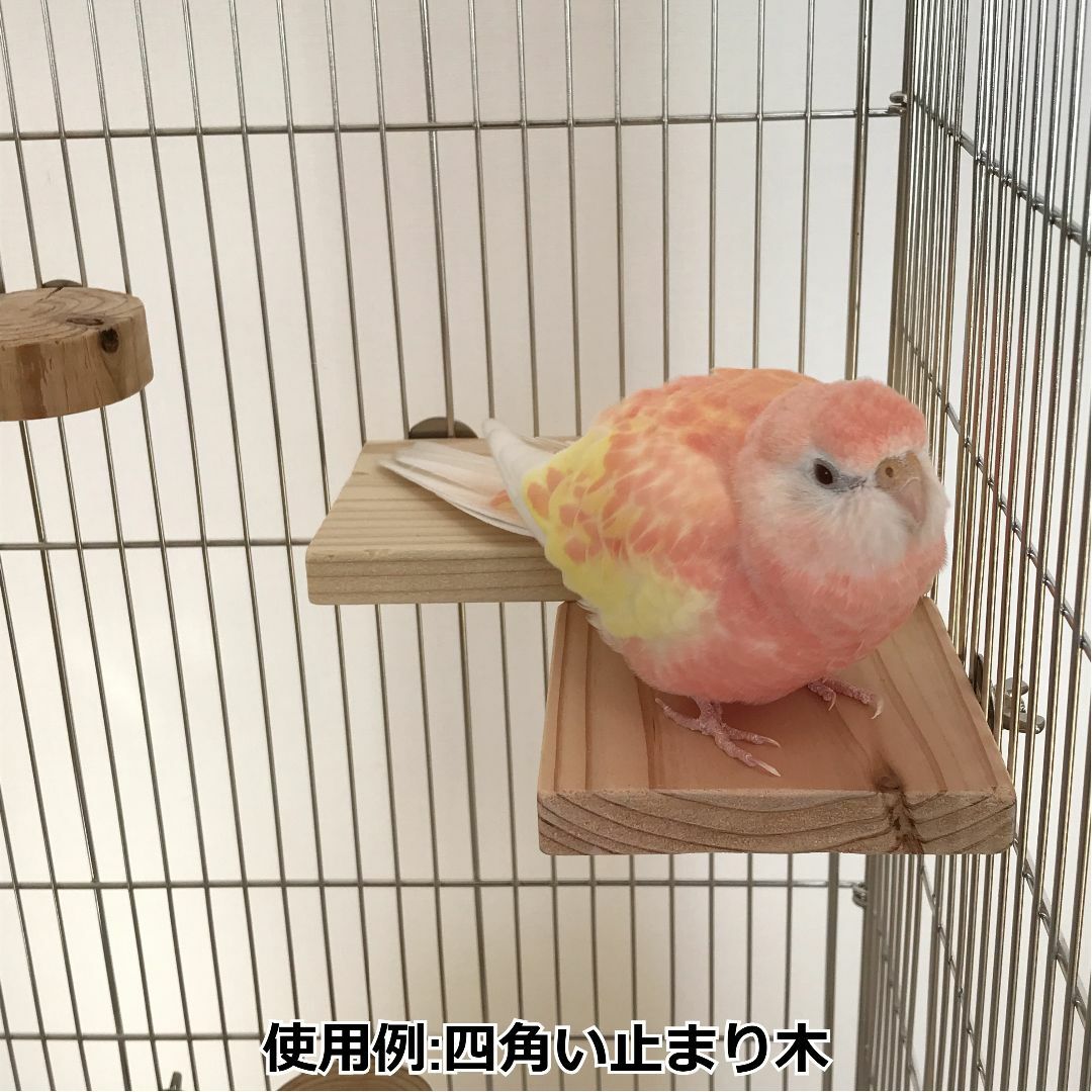 四角い止まり木　　インコ・小動物用ステップ その他のペット用品(鳥)の商品写真