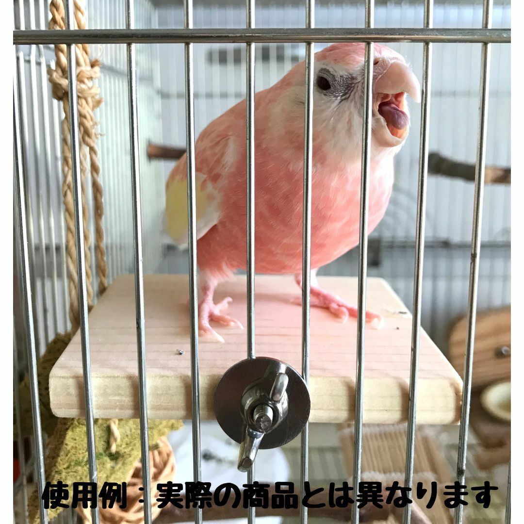 四角い止まり木　　インコ・小動物用ステップ その他のペット用品(鳥)の商品写真