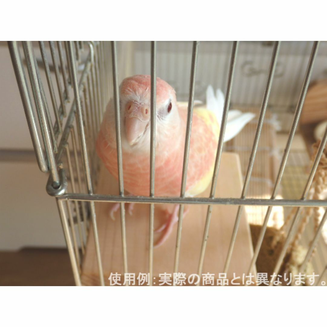 四角い止まり木　　インコ・小動物用ステップ その他のペット用品(鳥)の商品写真