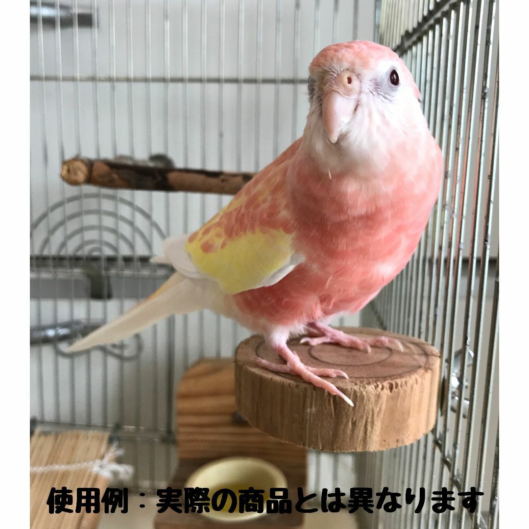 円形止まり木 　小鳥・小動物用ステップ その他のペット用品(鳥)の商品写真