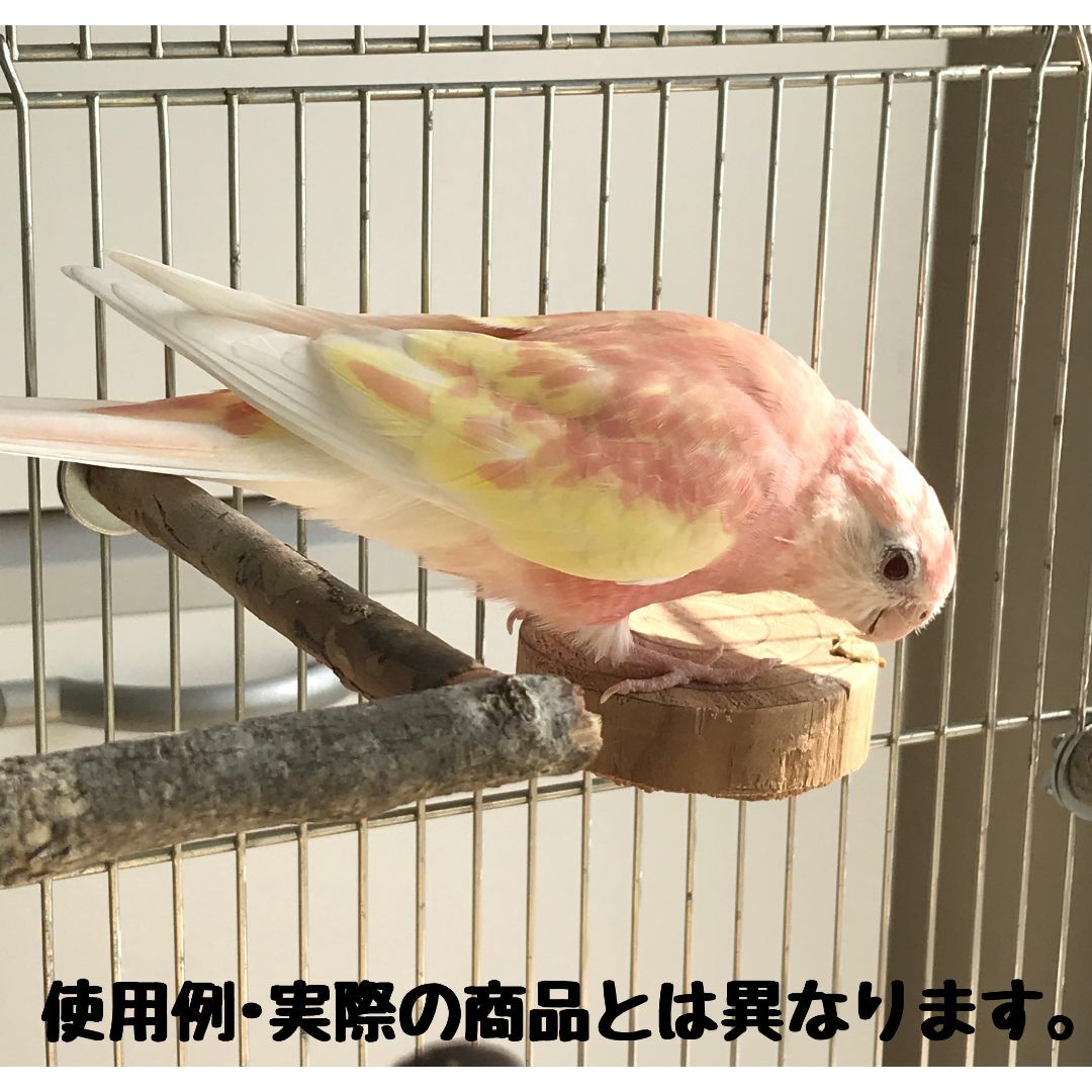 円形止まり木 　小鳥・小動物用ステップ その他のペット用品(鳥)の商品写真