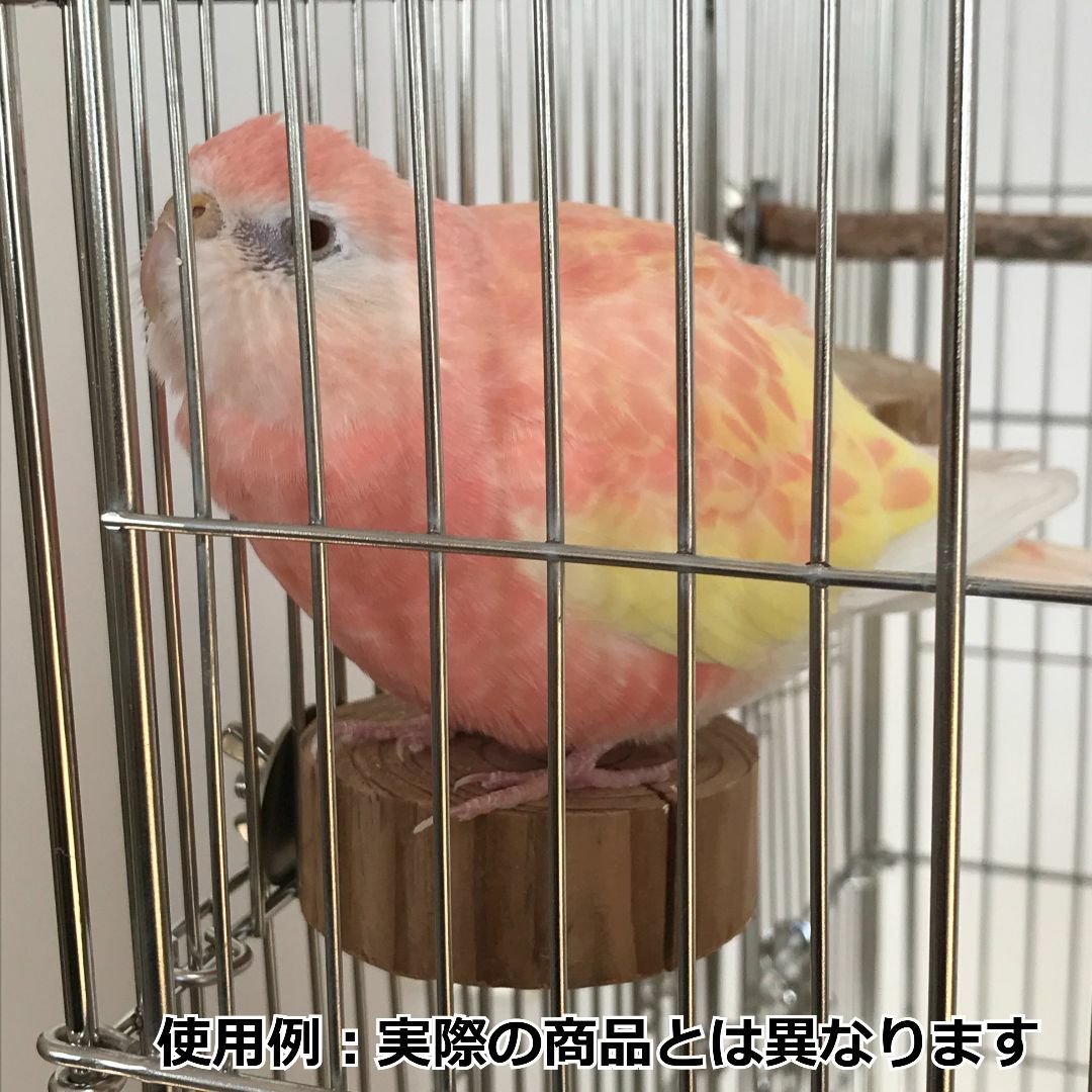 円形止まり木 　小鳥・小動物用ステップ その他のペット用品(鳥)の商品写真