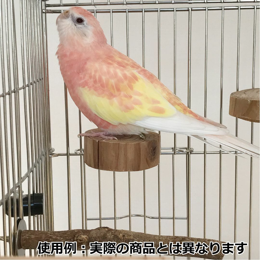 円形止まり木 　小鳥・小動物用ステップ その他のペット用品(鳥)の商品写真