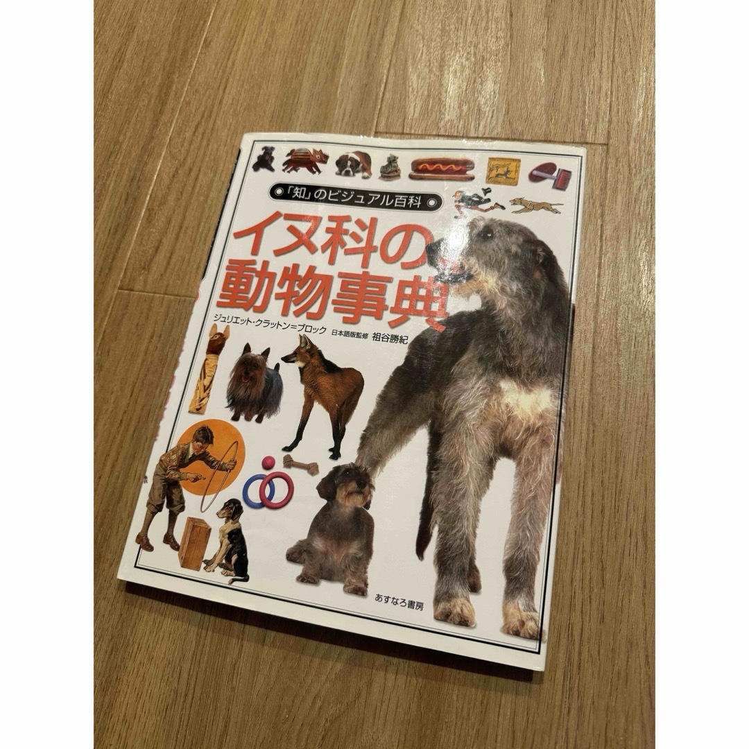 「知」のビジュアル百科 イヌ科の動物辞典 あすなろ書房 エンタメ/ホビーの本(絵本/児童書)の商品写真