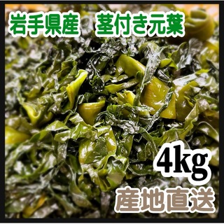 【漁師直送】岩手県産　塩蔵茎付き元葉　4kg  大容量　希少部位(野菜)