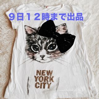 エイチアンドエム(H&M)の🌼H&Ｍ✨Tシャツ✨猫好きさんに(Tシャツ/カットソー)