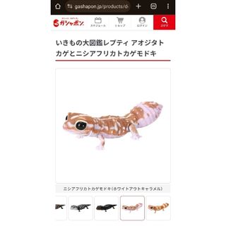 バンダイ(BANDAI)のバンダイ ガシャポン ニシアフリカトカゲモドキ ホワイトアウトキャラメル(キャラクターグッズ)