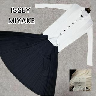 ISSEY MIYAKE - 希少 極美品 イッセイミヤケ IM22FA904 プリーツ 現行 バイカラー