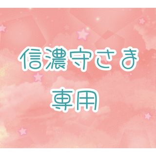 信濃守様　専用　追加分(その他)