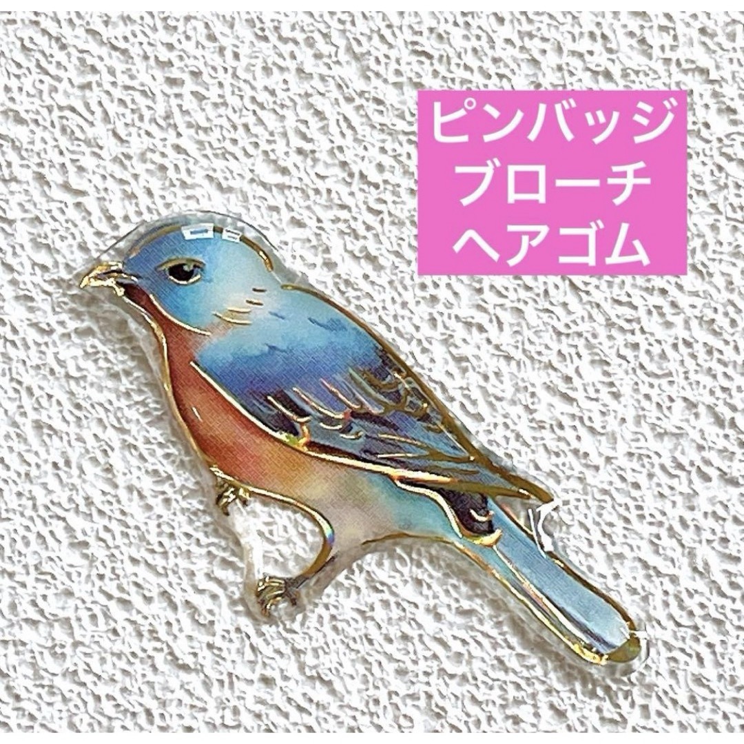 ルリツグミ　鳥　野鳥　ことり　レジン　ブローチ　ハンドメイド　チャーム その他のペット用品(鳥)の商品写真