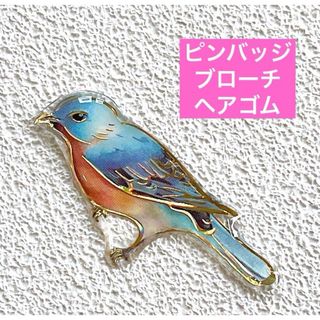 ルリツグミ　鳥　野鳥　ことり　レジン　ブローチ　ハンドメイド　チャーム(鳥)