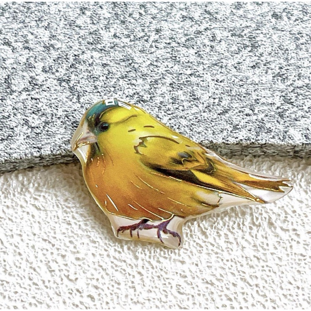マヒワ　　アオカワラヒワ　鳥　野鳥　ことり　レジン　ブローチ　チャーム レディースのアクセサリー(ブローチ/コサージュ)の商品写真