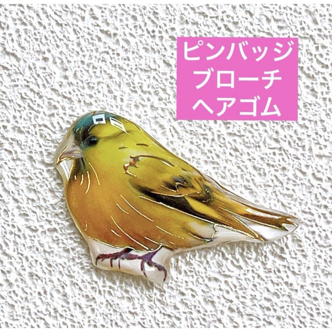 マヒワ　　アオカワラヒワ　鳥　野鳥　ことり　レジン　ブローチ　チャーム レディースのアクセサリー(ブローチ/コサージュ)の商品写真