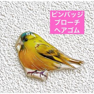 マヒワ　　アオカワラヒワ　鳥　野鳥　ことり　レジン　ブローチ　チャーム(ブローチ/コサージュ)