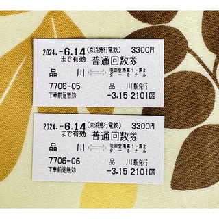 京急線　品川ー羽田空港　2枚(鉄道乗車券)