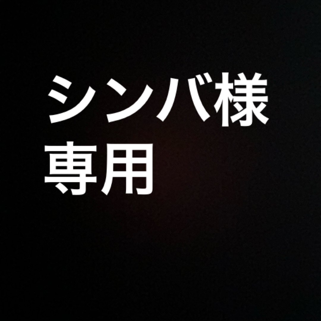 シンバ様　専用 メンズのメンズ その他(その他)の商品写真