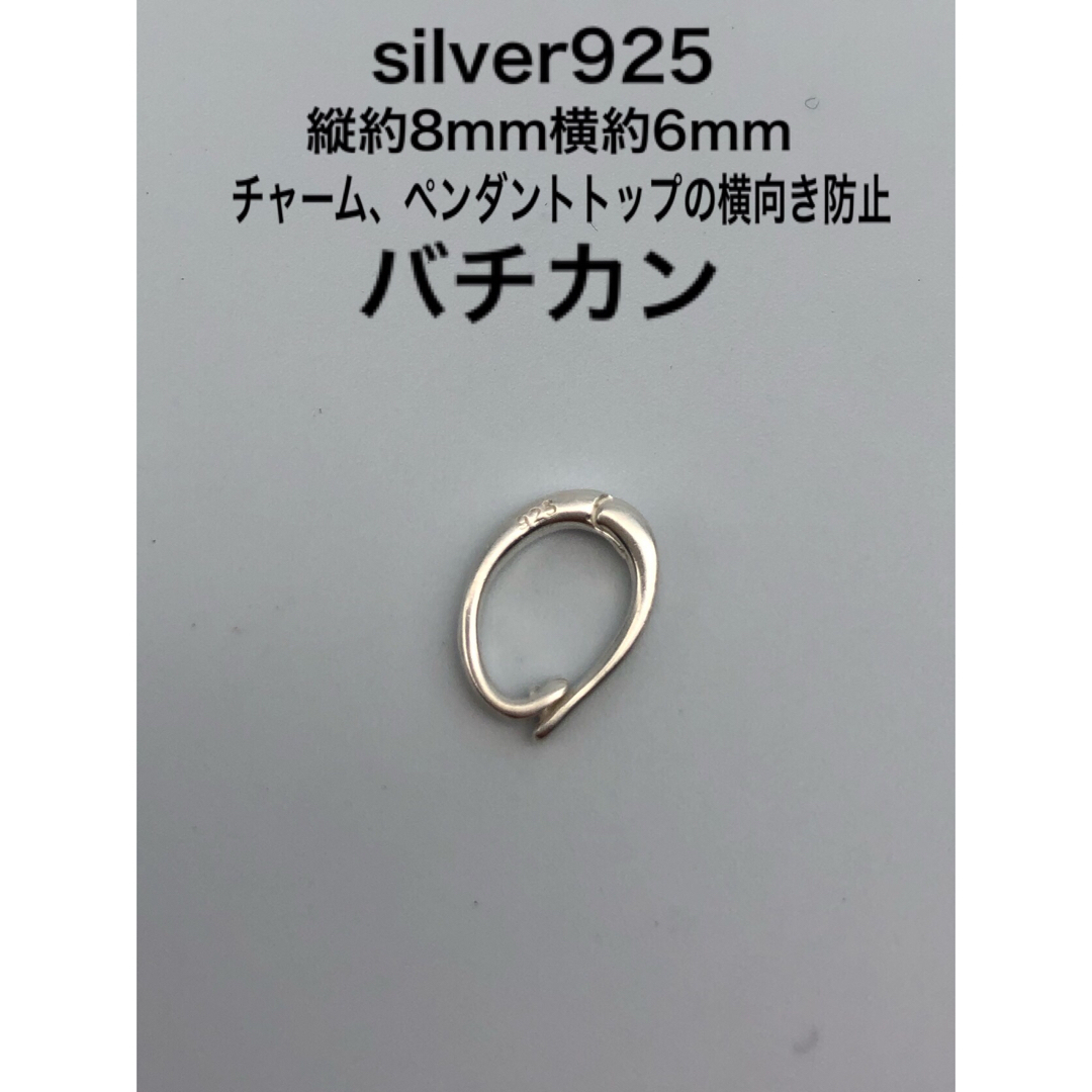 開閉　バチカン小　silver925 シルバー925 ネックレストップ チャーム レディースのアクセサリー(ネックレス)の商品写真