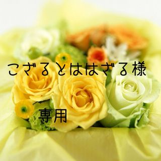 こざるとははざる様専用お米　令和5年　愛媛県産ヒノヒカリ　玄米　30㎏(米/穀物)