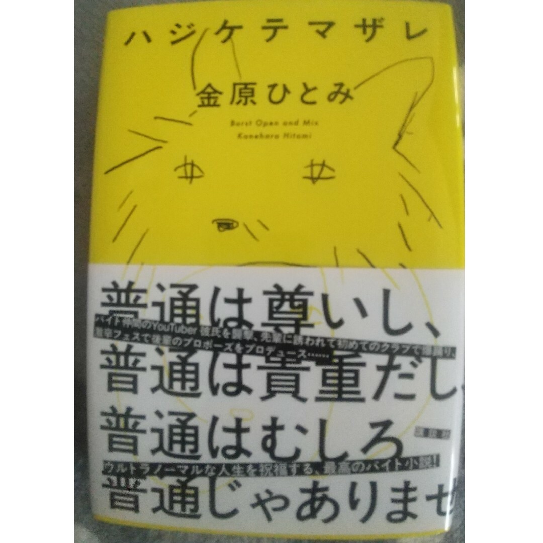 ハジケテマザレ エンタメ/ホビーの本(文学/小説)の商品写真