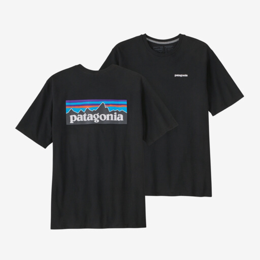 patagonia(パタゴニア)のPatagonia メンズTシャツ メンズのトップス(Tシャツ/カットソー(半袖/袖なし))の商品写真