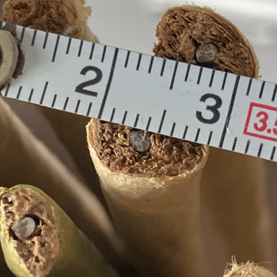クラフトワイヤー　アートフラワー 素材 材料 ハンドメイド 茎　花　幹 ハンドメイドの素材/材料(各種パーツ)の商品写真