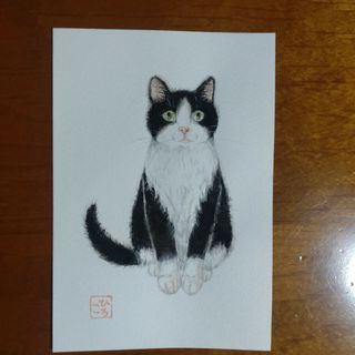 猫イラスト水彩画(その他)