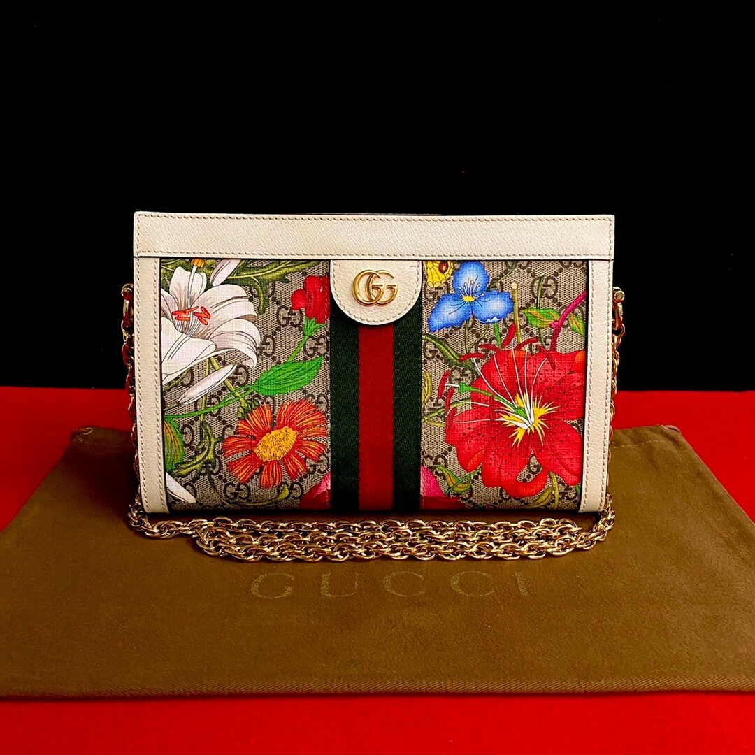 Gucci(グッチ)のほぼ未使用 GUCCI グッチ オフィディア フローラ チェーン ショルダー シェリーライン レザー ショルダーバッグ ブラウン ホワイト 23995 レディースのバッグ(ショルダーバッグ)の商品写真