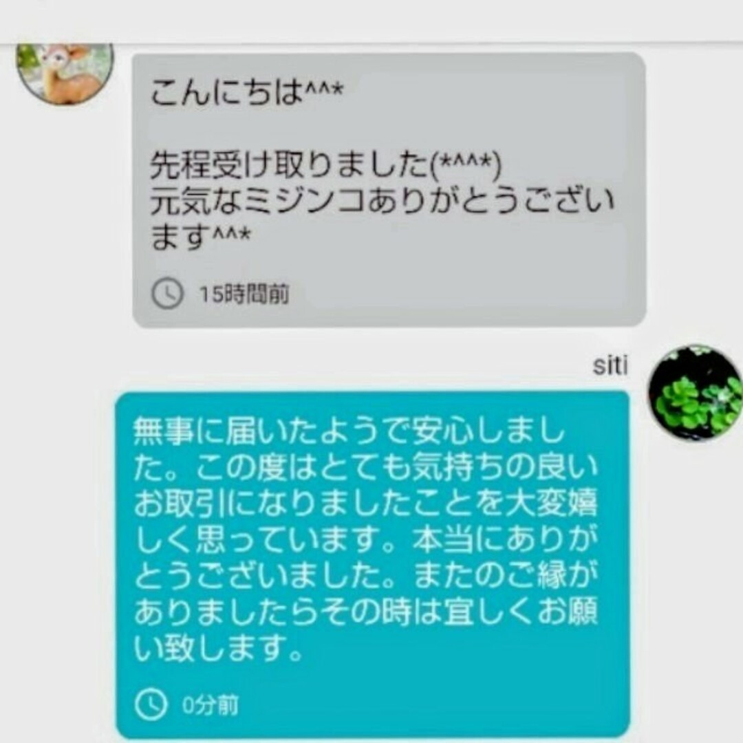 死着は前例がありません★タイリクミジンコ国産生クロレラで爆殖中！飼育水100ml その他のペット用品(アクアリウム)の商品写真