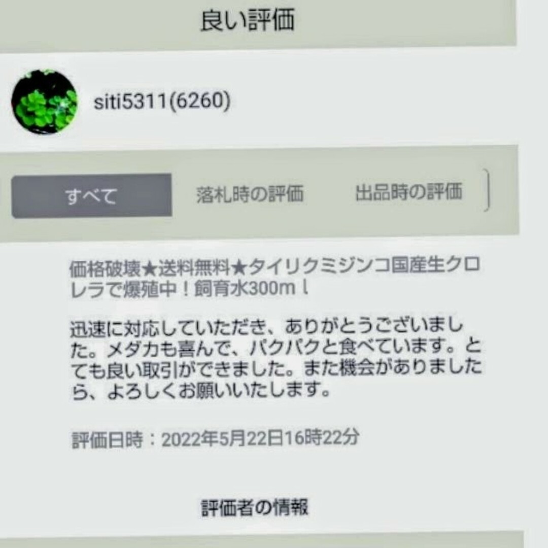 死着は前例がありません★タイリクミジンコ国産生クロレラで爆殖中！飼育水100ml その他のペット用品(アクアリウム)の商品写真