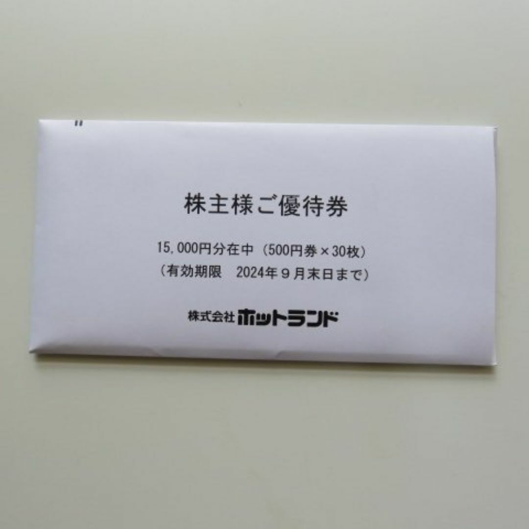 ホットランド株主優待券15000円分　銀だこ チケットの優待券/割引券(レストラン/食事券)の商品写真